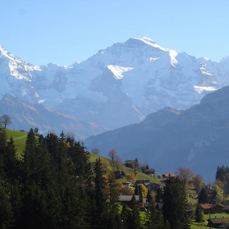 Chalet Sunneschyn Schwanden  Esterno foto