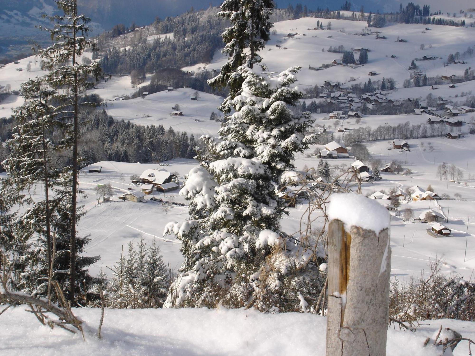 Chalet Sunneschyn Schwanden  Esterno foto