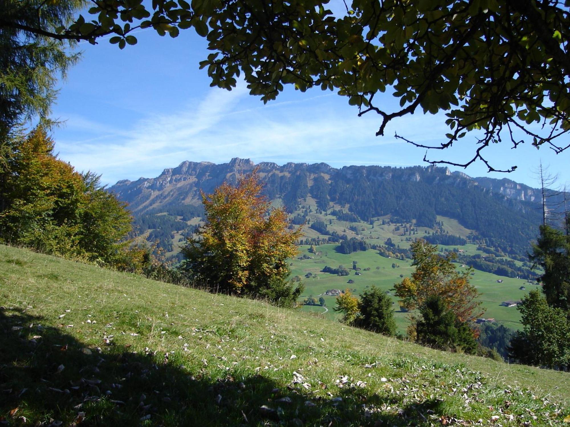 Chalet Sunneschyn Schwanden  Esterno foto